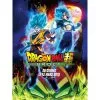 Affiche Dragon Super Broly -ONE PIECE Soldes 2022 affiche dragon super broly