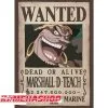 One Piece - Affiche Wanted Blackbeard Marshall.D.Teach
