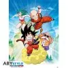 Poster Dragon Ball Groupe -ONE PIECE Soldes 2022 poster dragon ball groupe