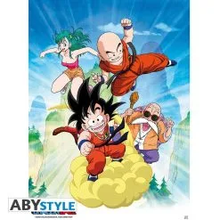 Poster Dragon Ball Groupe