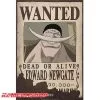 Poster Wanted Barbe Blanche -ONE PIECE Soldes 2022 poster wanted barbe blanche