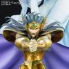 Saint Seiya Camus Du Verseau HQS Tsume